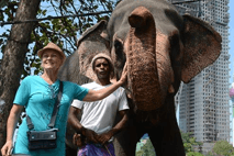 Srilanka updates free Tourist Visa Government fee for 45 countries Srilanka updates free Tourist Visa Government fee for 45 countries